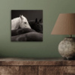 Paarden - Zwart - Wit - Kudde aluminium wit klein -sfeer2