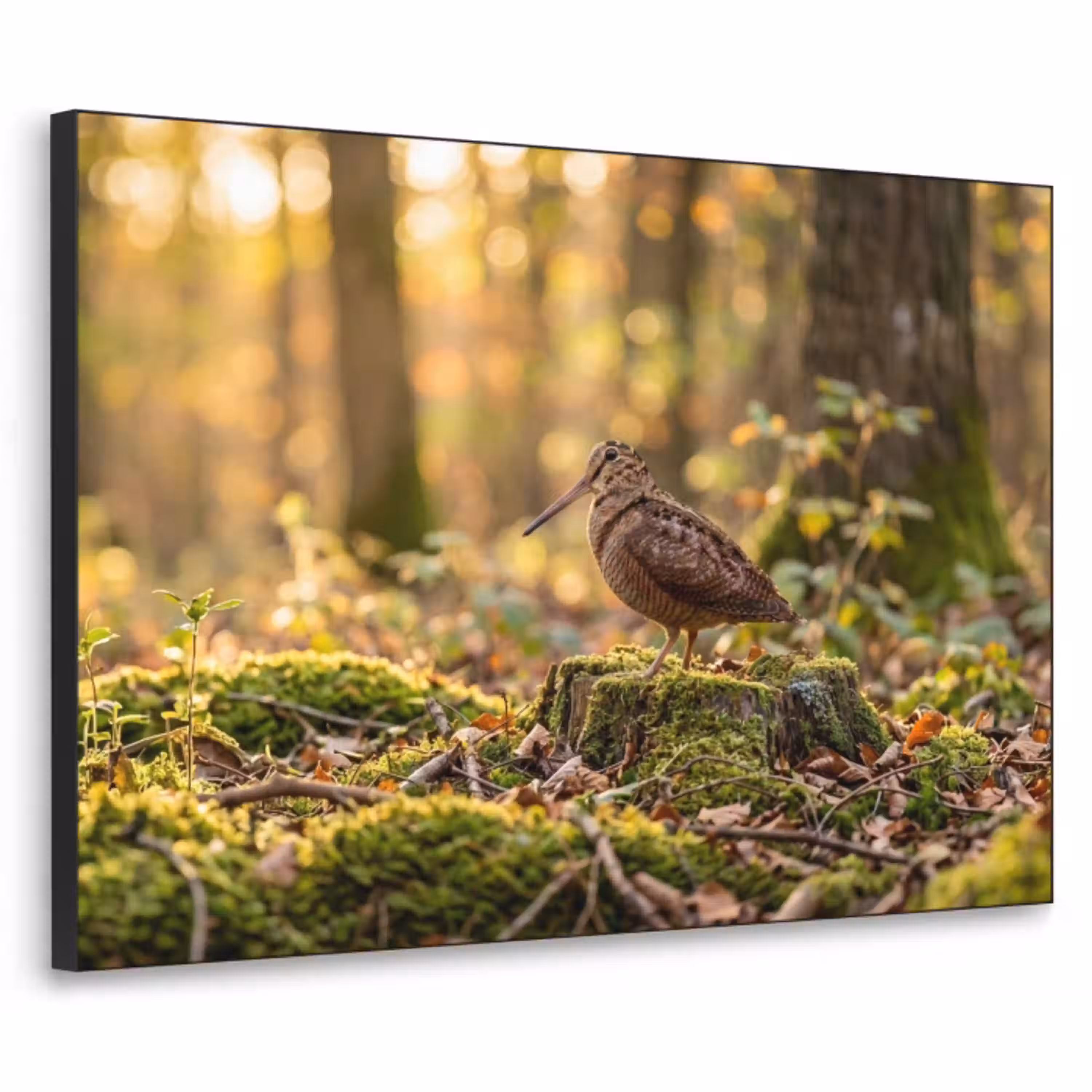 Houtsnip - Bos - Bladeren - Herfst - Gecamoufleerd Textielframe zwart klein -3d