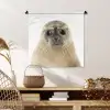 Jongens - Zeehond - Kinderen - Meisjes - Dieren Wandkleed katoen klein -sfeer5