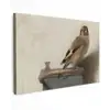 Het puttertje - Carel Fabritius canvas 2cm klein -z3d