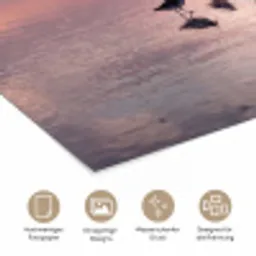 Meeuwen - Strand - Zee - Roze poster papier klein -tcloseup_DE