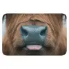 Schotse hooglander - Neus - Bruin WCmat klein -3d