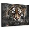 Tijger - Dieren - Portret - Luxe - Zwart Textielframe - compleet frame klein -3d