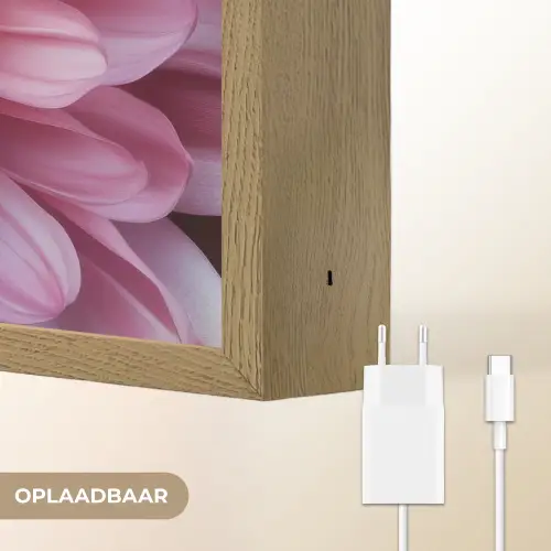 Dahlia - Bloem - Close up - Roze Light Box met batterij (Wandlamp) middel -USP_websiteoplaadbaarNL