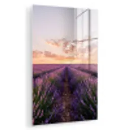 Landschap - Lavendelveld - Paars plexiglas 5mm klein -zzzproduct_nieuw