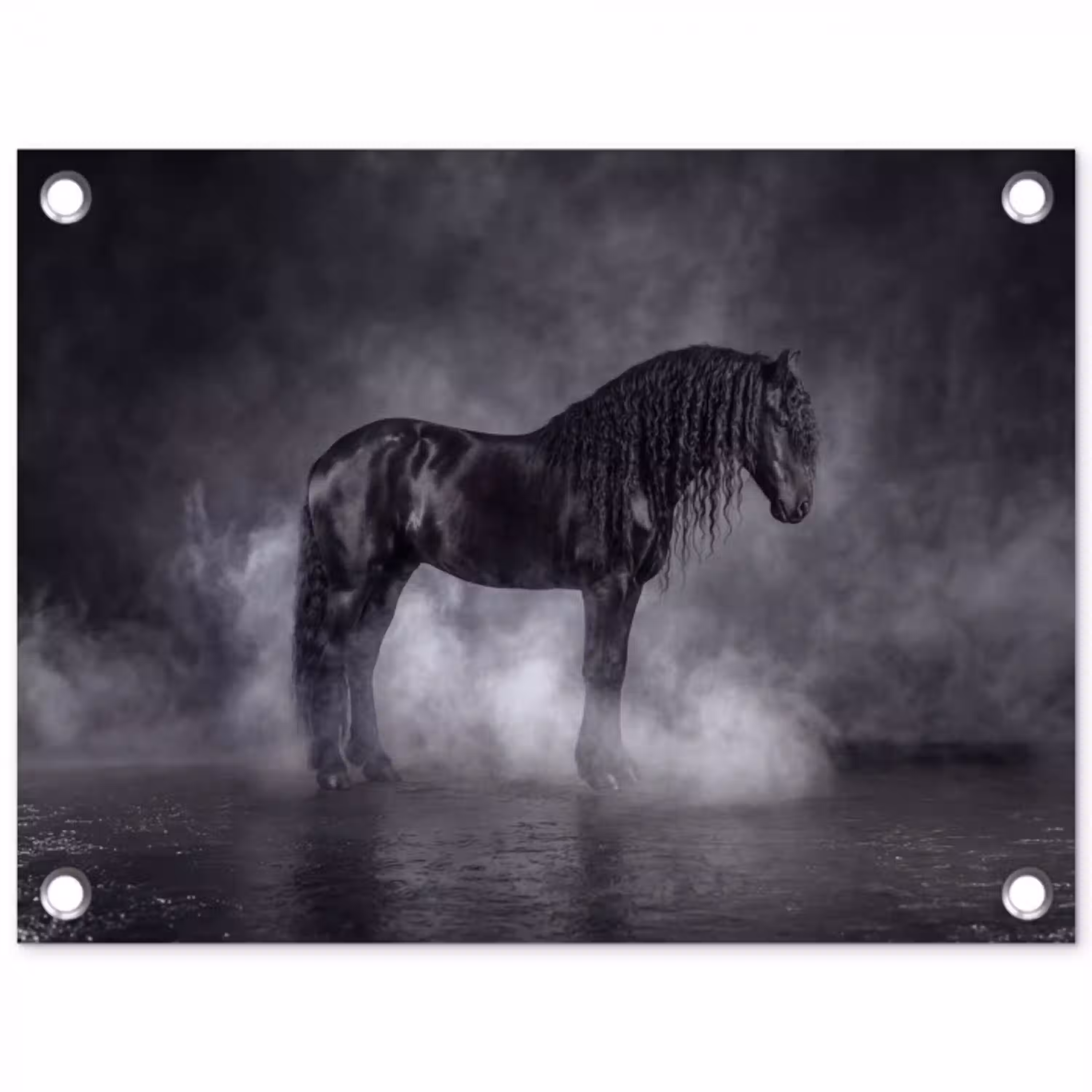 Paard - Magisch - Zwart tuinposter los doek klein -3d