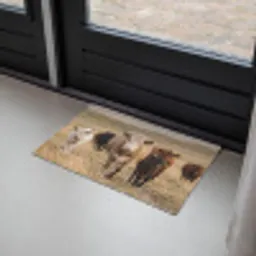 Runderen - Kudde - Landschap - Weide - Rustig Deurmat klein -sfeer2