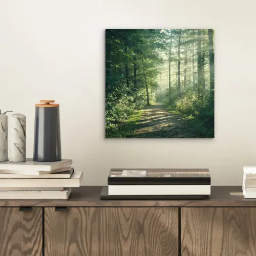 Bos - Pad - Zon - Bomen - Groen - Natuur aluminium wit klein -sfeer1