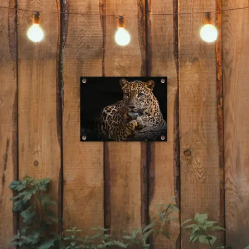 Wilde dieren - Panter - Portret - Zwart - Dieren tuinposter los doek klein -sfeer1