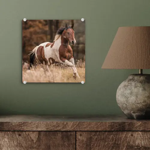 Paard - Bruin - Gras plexiglas 5mm klein -sfeer3