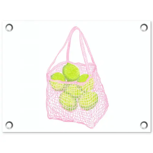 Netzakje - Roze - Illustratie - Limoenen tuinposter los doek klein -3d