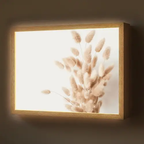 Pampasgras - Pluim - Wit - Beige Light Box met batterij (Wandlamp) middel -z3d_website
