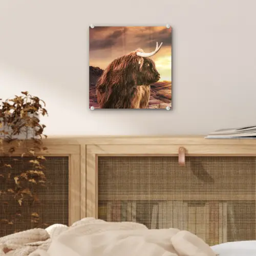 Schotse hooglander - Zon - Horizon - Koe - Dieren plexiglas 5mm klein -sfeer4