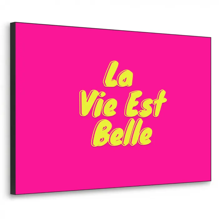 Quote - Retro - Roze Textielframe zwart klein -3d