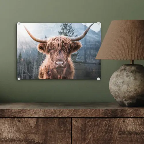 Schotse hooglander - Koe - Dieren - Berg - Natuur plexiglas 5mm klein -sfeer3
