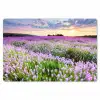 Lavendel - Bloemen - Zonsondergang - Paars - Weide Placemat vinyl groot -zzsfeer1_Kitchenyeah-website