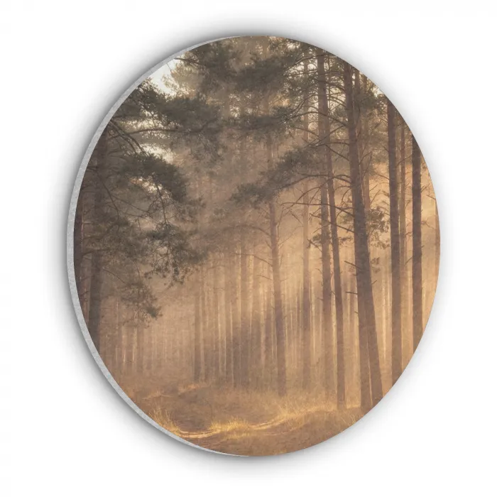 Bos - Mist - Zonlicht Akoestische PET Vilt - Rond klein -3d