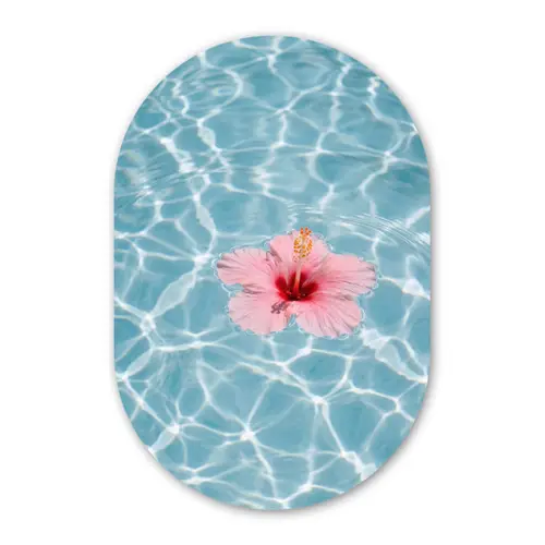 Hibiscus - Water - Roze Wandcirkel Ovaal Forex klein -3d