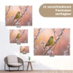 Groenling - Katjes - Lente - Natuur - Zacht tuinposter los doek klein -Xsfeer9_DE