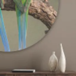 Papagaai - Tak - Natuur - Kleurrijk Akoestische PET Vilt - Rond klein -sfeer5_closeup