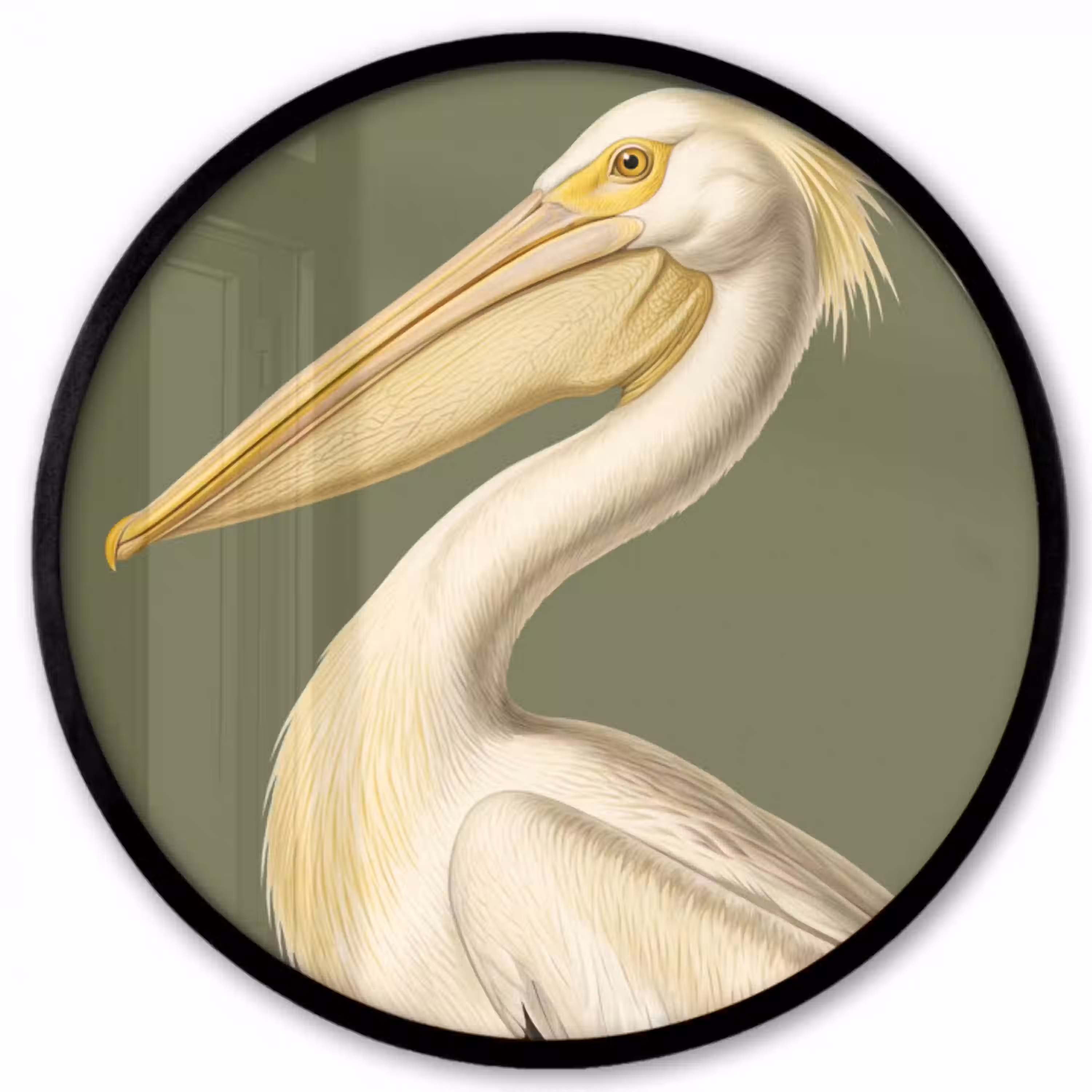 Pelikaan - Wit - Vogel - Klassiek - Natuur Fotolijst rond zonder passe partout klein -3d