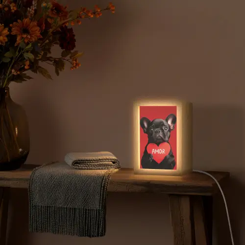 Amor - Hond  - Hartje - Rood Light Box met kabel (Tafellamp) klein -sfeer4