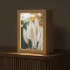 Pampasgras - Pluimen - Sierlijk Light Box met kabel (Tafellamp) klein -z3d_website