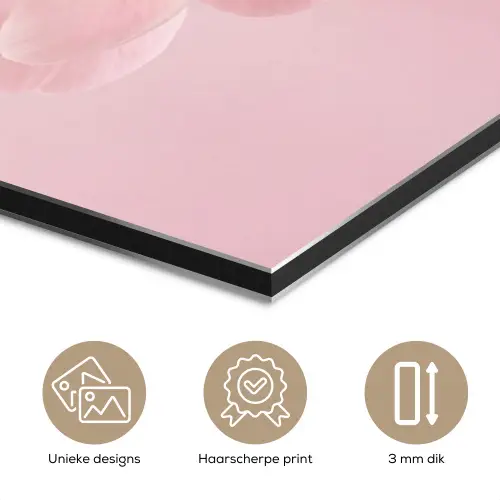 Bloem - Pioenroos - Roze aluminium wit klein -closeup_NL