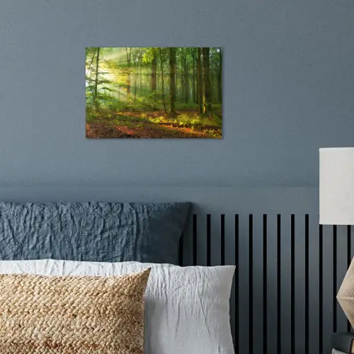 Zon - Bos - Bomen - Natuur - Herfst poster papier klein -sfeer2