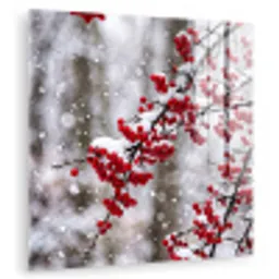 Bessen - Takken - Sneeuw - Winter - Kleurrijk plexiglas 5mm klein -zzzproduct_nieuw