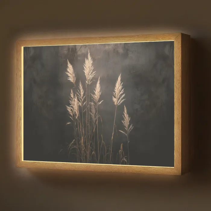 Siergras - Pluimen - Verlichting - Zwart Light Box met batterij (Wandlamp) middel -z3d_website