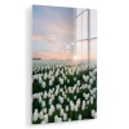 Tulpen - Landschap - Wit plexiglas 5mm klein -zzzproduct_nieuw