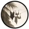 Badkleding - Palmbomen - Schaduw - Tropisch Fotolijst rond zonder passe partout klein -3d