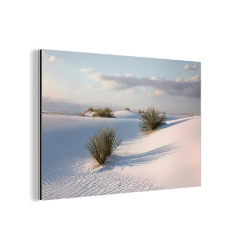Duinen - Gras - Wolken - Beige aluminium wit klein -3d