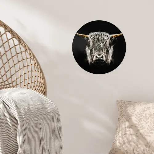 Schotse hooglander - Goud - Hoorns - Zwart wit - Koe - Dieren Wandcirkel behangsticker klein -sfeer4
