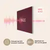 Nice - Bordeaux - Roze PET vilt klein -USP_NL
