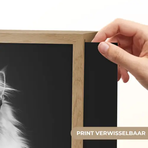 Langharige kat - Zonnebril - Spaghetti - Humor - Zwart - wit Light Box met batterij (Wandlamp) middel -USP_websiteprintNL