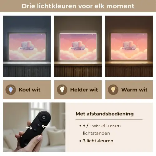 Dier - Roze - Wolken Light Box met batterij (Wandlamp kind) middel -USP_lichtkleurNL