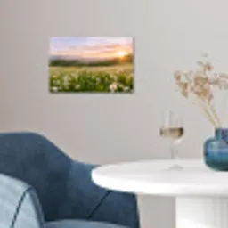 Madelief - Veld - Heuvels - Groen poster papier klein -sfeer3