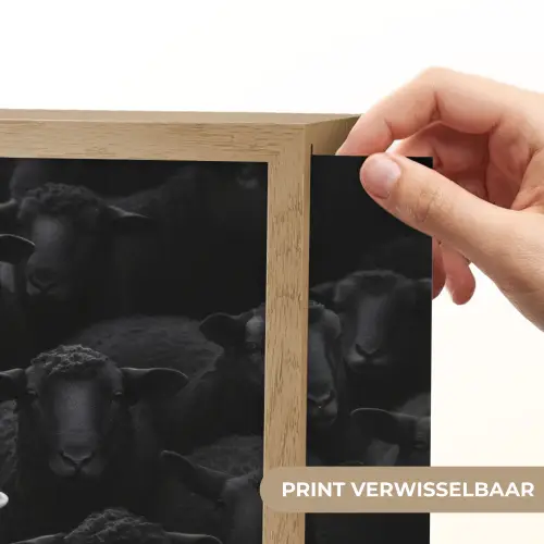 Schapen - Wit - Duisternis Light Box met batterij (Wandlamp) middel -USP_websiteprintNL