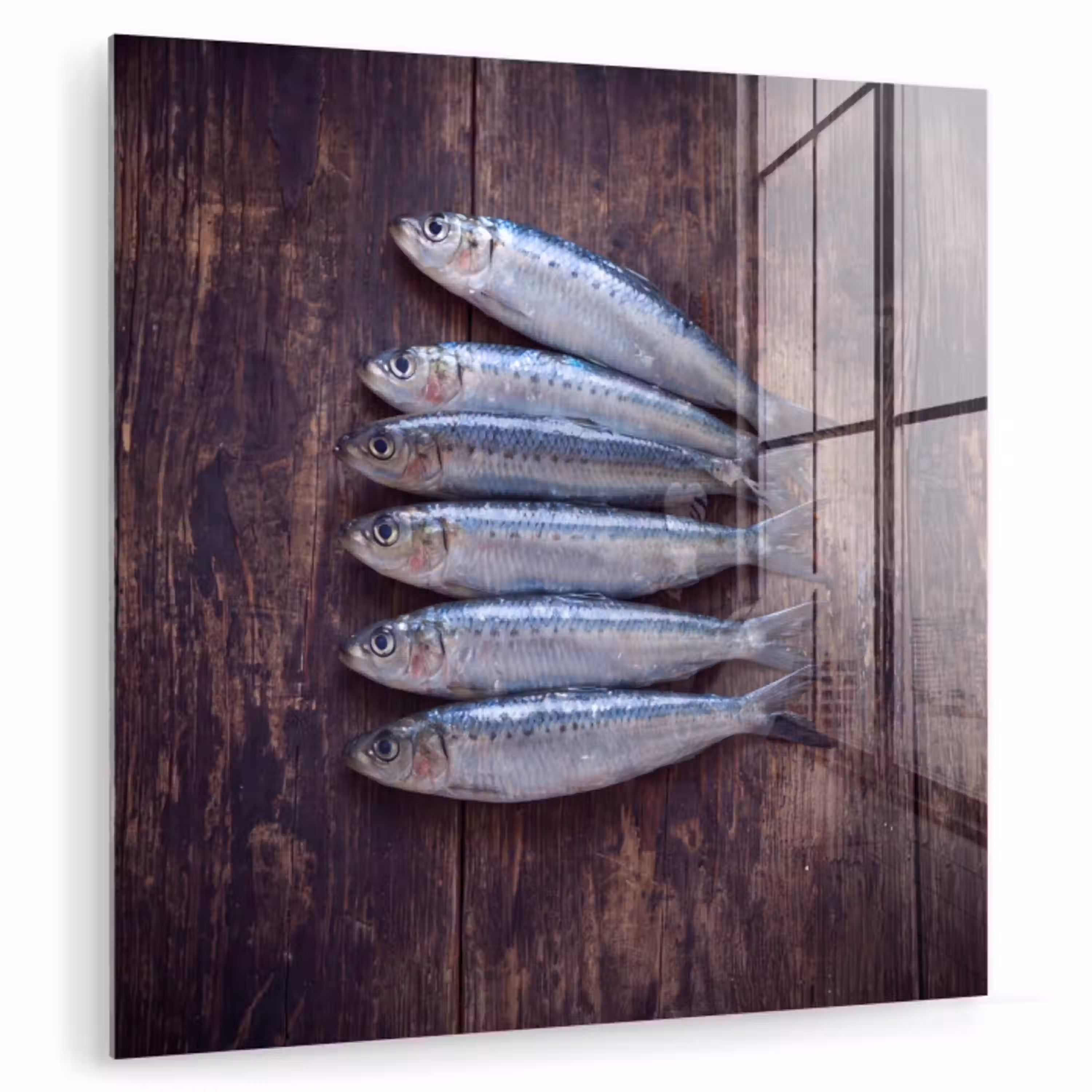 Vis - Hout - Eten plexiglas 5mm klein -zzzproduct_nieuw