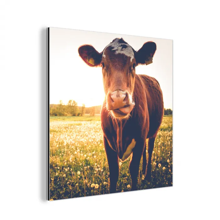 Koe - Zonsondergang - Bloemen - Gras - Dieren aluminium wit klein -3d