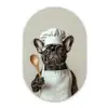 Bril - Hond - Kok Wandcirkel Ovaal Glas middel -3d