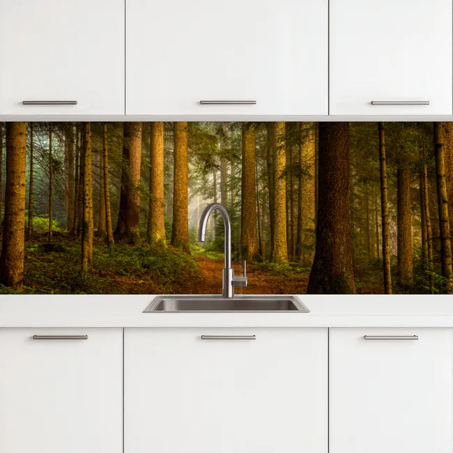 Küchenrückwand - Wald - Natur - Bäume - Landschaft - Laub
