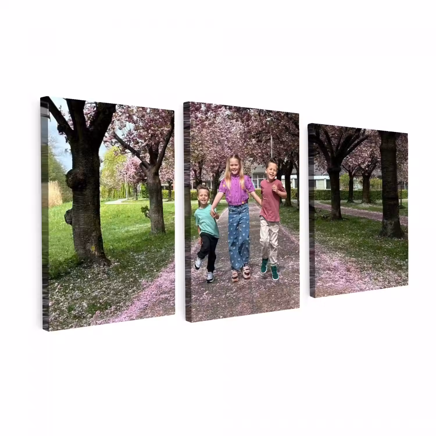 Foto auf Leinwand-Dreiteiler - 120x60 cm