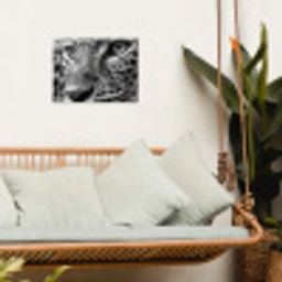Luipaard - Zwart - Wit - Oog tuinposter los doek klein -sfeer7