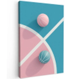 Basketbal - Pastel - Roze - BLauw Tuinposter op houten frame 2 cm dik middel -3d