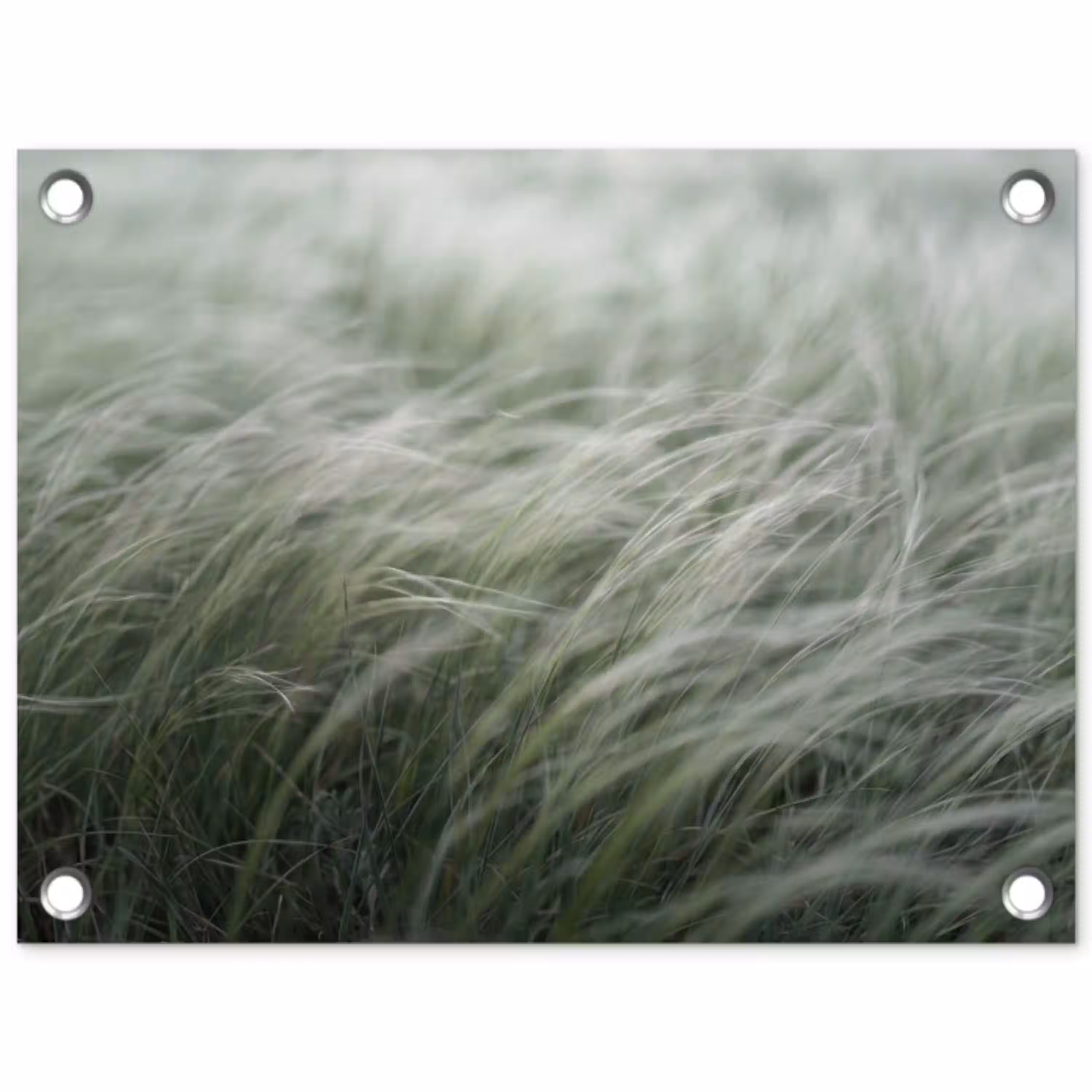 Gras - Wazig - Natuur - Groen - Zacht tuinposter los doek klein -3d