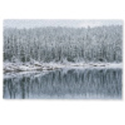 Bos - Reflectie - Meer - Winter - Serene Deurmat klein -zkaufland3d