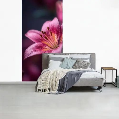 Roze - lelie - Dauwdruppels fotobehang vinyl groot -slaapkamer